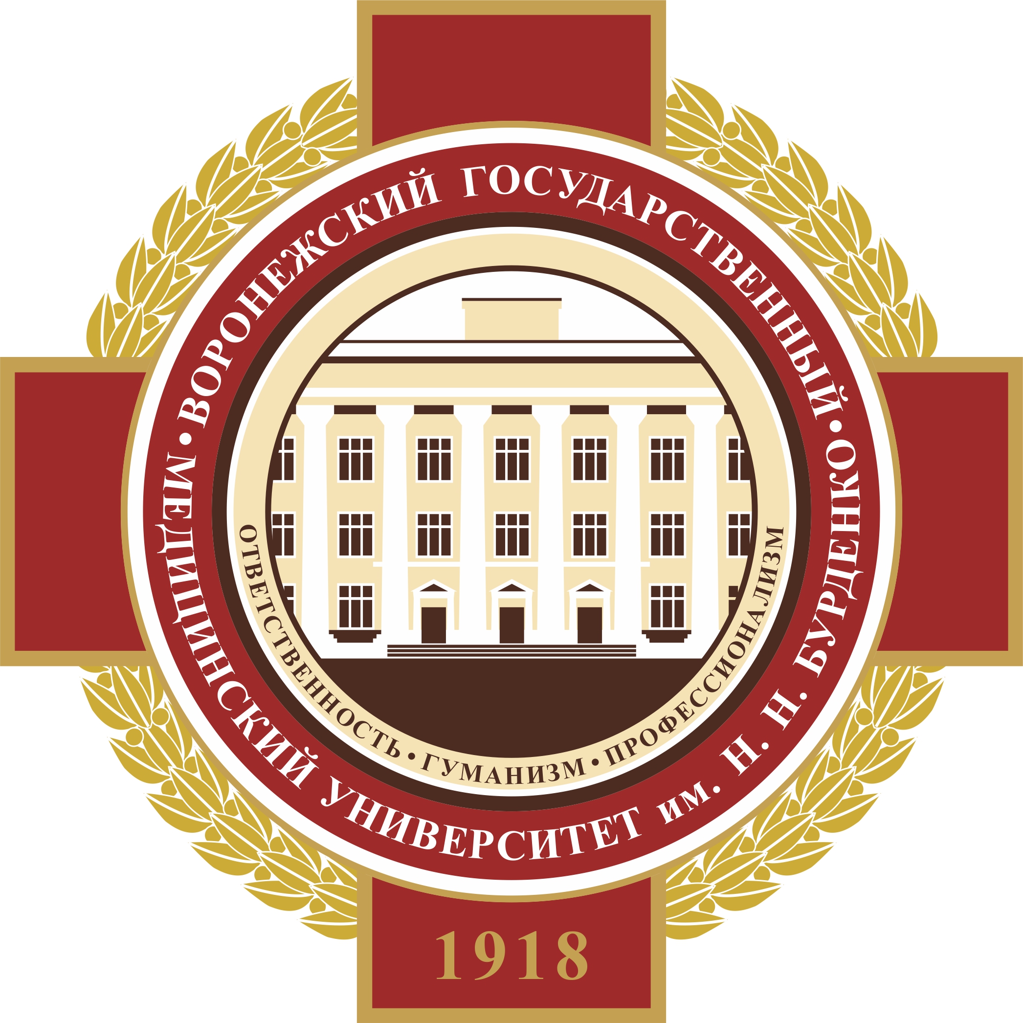 «Воронежский государственный медицинский университет имени Н.Н. Бурденко».